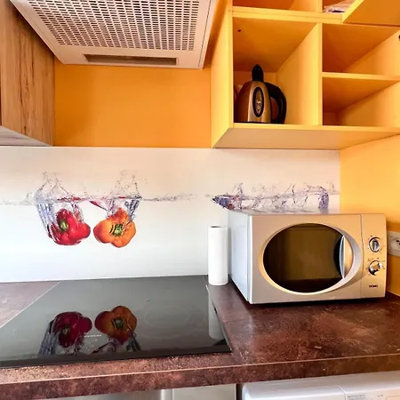 Family With Sea View For 6 Appartement De Panne